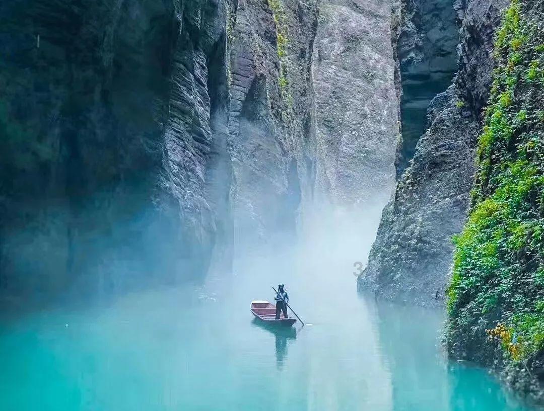 救援可爱小松鼠